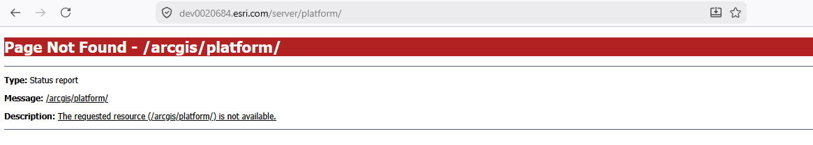 A 'Page Not Found - /arcgis/platform/' status report in the browser, showing that the requested resource /arcgis/platform/ is not available after the overlay was removed.